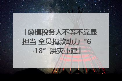 桑植税务人不等不靠显担当 全员捐款助力“6·18”洪灾重建