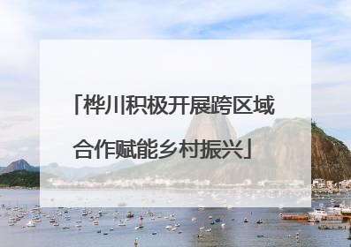 桦川积极开展跨区域合作赋能乡村振兴