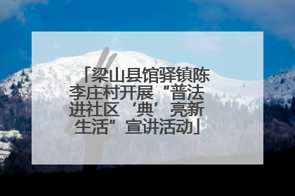梁山县馆驿镇陈李庄村开展“普法进社区‘典’亮新生活”宣讲活动