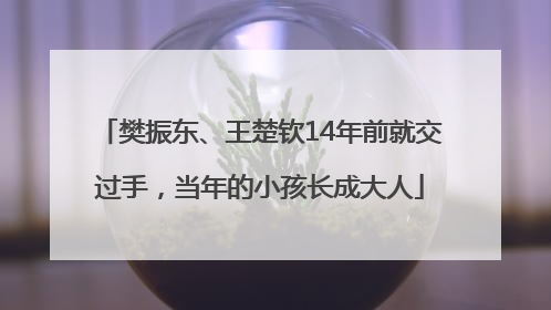 樊振东、王楚钦14年前就交过手，当年的小孩长成大人