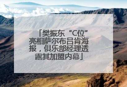 樊振东“C位”亮相萨尔布吕肯海报，俱乐部经理透露其加盟内幕