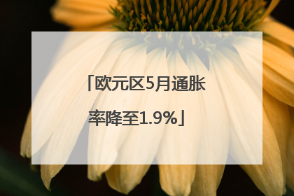 欧元区5月通胀率降至1.9%