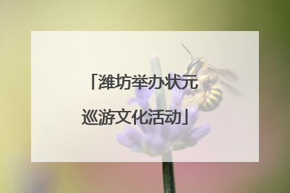 潍坊举办状元巡游文化活动