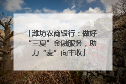 潍坊农商银行：做好“三夏”金融服务，助力“麦”向丰收