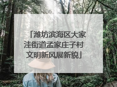 潍坊滨海区大家洼街道孟家庄子村文明新风展新貌
