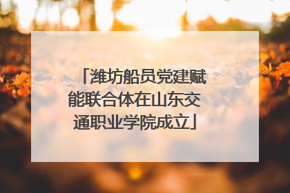 潍坊船员党建赋能联合体在山东交通职业学院成立