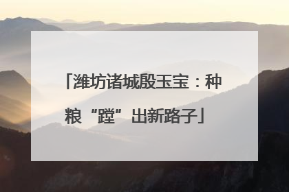 潍坊诸城殷玉宝：种粮“蹚”出新路子