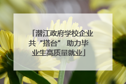 潜江政府学校企业共“搭台” 助力毕业生高质量就业