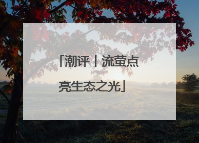 潮评丨流萤点亮生态之光