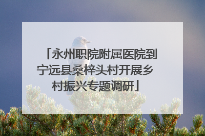 永州职院附属医院到宁远县桑梓头村开展乡村振兴专题调研