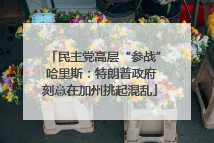 民主党高层“参战” 哈里斯：特朗普政府刻意在加州挑起混乱