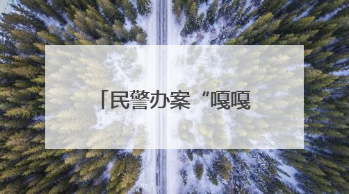 民警办案“嘎嘎给力”！群众称赞送定制锦旗