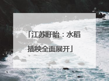江苏盱眙：水稻插秧全面展开