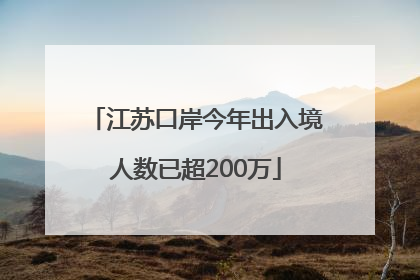江苏口岸今年出入境人数已超200万