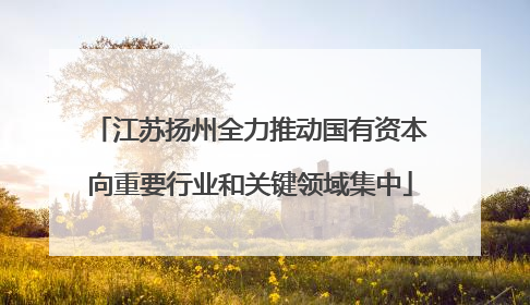 江苏扬州全力推动国有资本向重要行业和关键领域集中