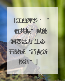 江西萍乡：“三链共振”赋能消费活力 生态五陂成“消费新枢纽”