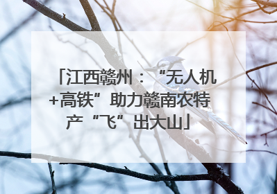 江西赣州：“无人机+高铁”助力赣南农特产“飞”出大山