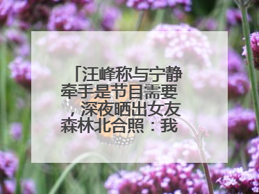 汪峰称与宁静牵手是节目需要，深夜晒出女友森林北合照：我俩好着呢！