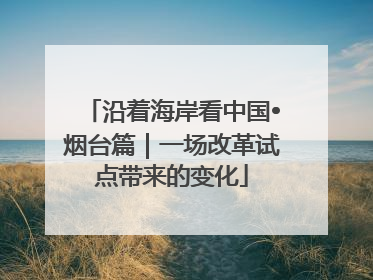 沿着海岸看中国•烟台篇｜一场改革试点带来的变化