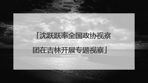 沈跃跃率全国政协视察团在吉林开展专题视察