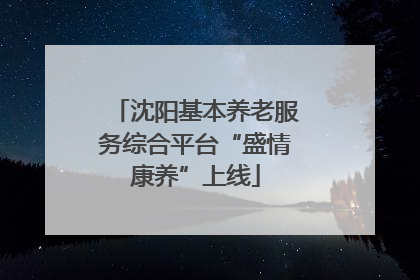 沈阳基本养老服务综合平台“盛情康养”上线