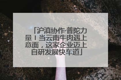 沪滇协作·普陀力量〡当云南牛肉遇上意面，这家企业迈上自研发展快车道