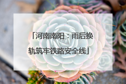 河南南阳：雨后换轨筑牢铁路安全线