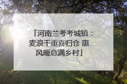 河南兰考考城镇：麦浪千重喜归仓 惠风暖意满乡村