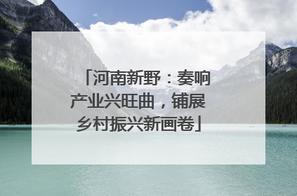 河南新野：奏响产业兴旺曲，铺展乡村振兴新画卷