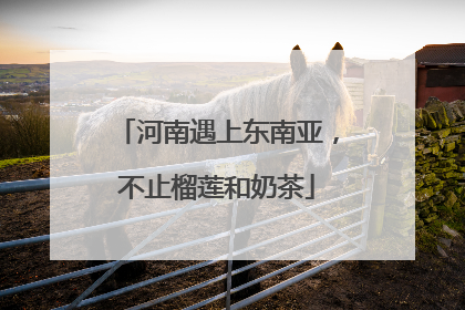 河南遇上东南亚，不止榴莲和奶茶