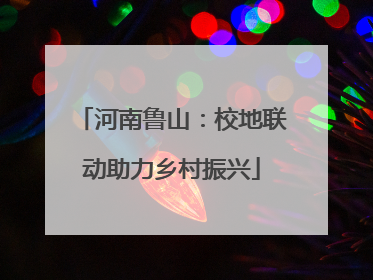 河南鲁山：校地联动助力乡村振兴