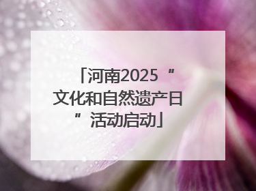 河南2025“文化和自然遗产日”活动启动