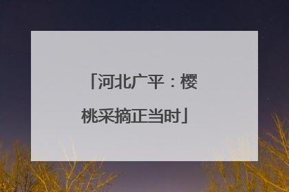 河北广平：樱桃采摘正当时