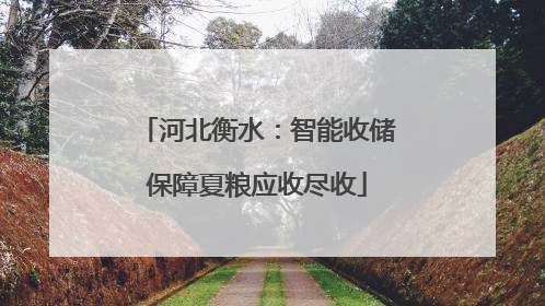 河北衡水：智能收储保障夏粮应收尽收