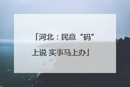 河北：民意“码”上说 实事马上办