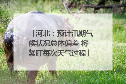 河北：预计汛期气候状况总体偏差 将紧盯每次天气过程