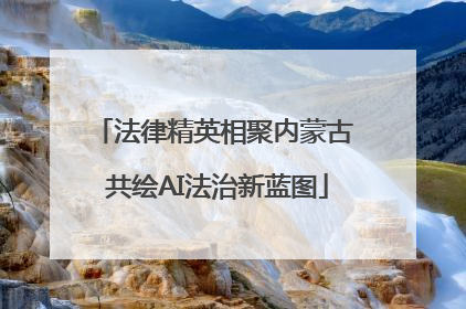 法律精英相聚内蒙古 共绘AI法治新蓝图