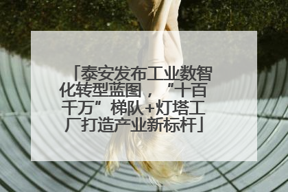 泰安发布工业数智化转型蓝图，“十百千万”梯队+灯塔工厂打造产业新标杆