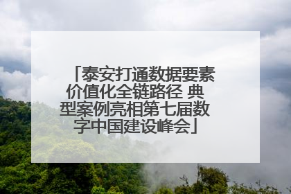泰安打通数据要素价值化全链路径 典型案例亮相第七届数字中国建设峰会