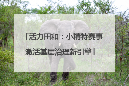 活力田和：小精特赛事激活基层治理新引擎
