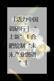 活力中国调研行｜“上新”！合肥绘制“未来产业图谱”