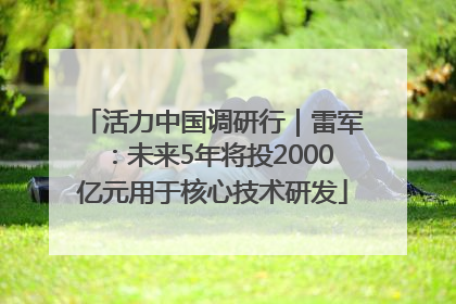 活力中国调研行｜雷军：未来5年将投2000亿元用于核心技术研发