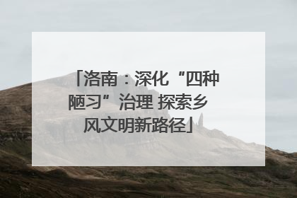 洛南：深化“四种陋习”治理 探索乡风文明新路径