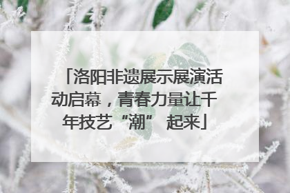 洛阳非遗展示展演活动启幕，青春力量让千年技艺“潮” 起来