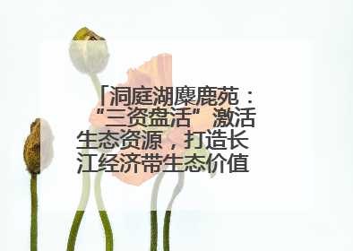 洞庭湖麋鹿苑：“三资盘活”激活生态资源，打造长江经济带生态价值转化新标杆