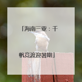 海南三亚：千帆竞渡迎暑期