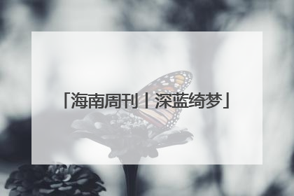 海南周刊丨深蓝绮梦
