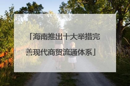 海南推出十大举措完善现代商贸流通体系