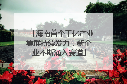 海南首个千亿产业集群持续发力，新企业不断涌入赛道