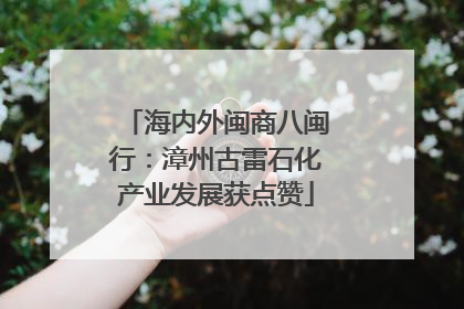 海内外闽商八闽行：漳州古雷石化产业发展获点赞